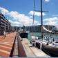 The Viaduct Harbour 