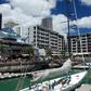 The Viaduct Harbour 